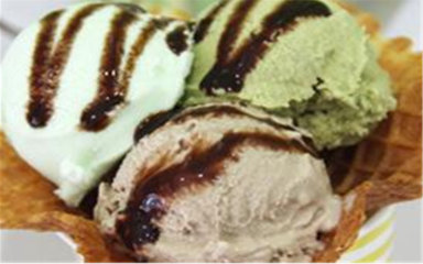 雀巢桶裝冰淇淋加盟 打造甜蜜事業的黃金機遇